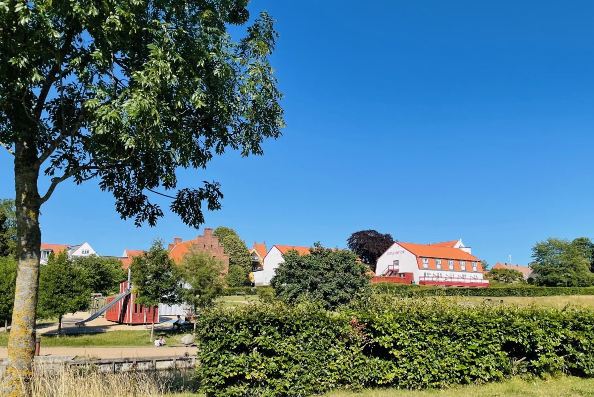 Flyttemand næstved